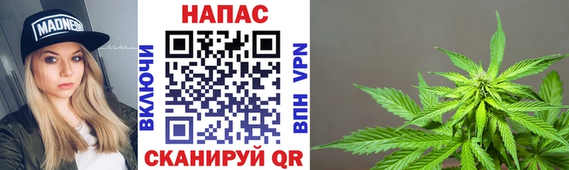где купить   Осинники  Конопля ГИДРОПОН 